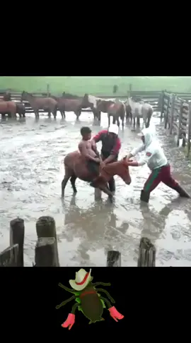 #humor #goias #cowboy