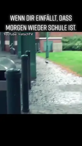 #iratschtv #iratsch #viral #fyp #fy #pranks #streetcomedy #schule