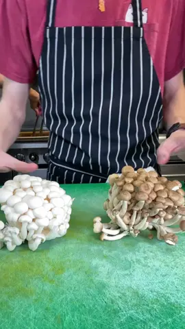 Take me to the beech! Mushroom time :) @#cooking #yummy #foryou #fyp #foryoupage #food #mushroom #exotic