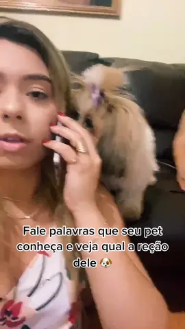 Já testou seu pet? #dog #shitzu #tiktok #fyp #foryou