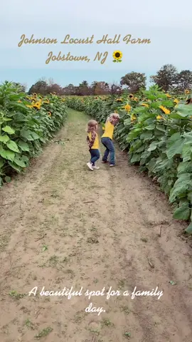 #traveling Apples, Pumpkins, Sunflowers, oh my. 🍏 🎃 🌻 🍎 #familyday #mustvisitplaces