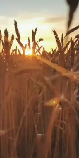 Aprende a ser feliz a tu manera.... #tiktok #fraces #janamontana #sad #fyp #four #you #page