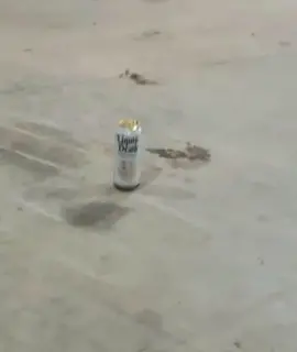 Do you own a can-opener with 50 horsepower? This guy does. #crackopenawater in the dumbest way possible to win a 1-year supply of #LiquidDeath 🏆