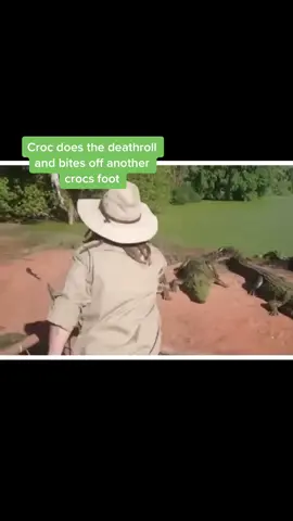 🐊 #fyp #crocodile
