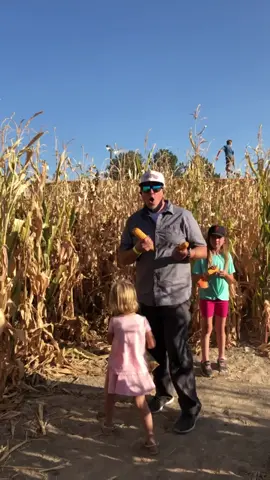Goofing off at the corn maze. 🤣🤣😂 #cornmaze #havingfun #beingfunny #funnyvideos #funnyvideo #goviral