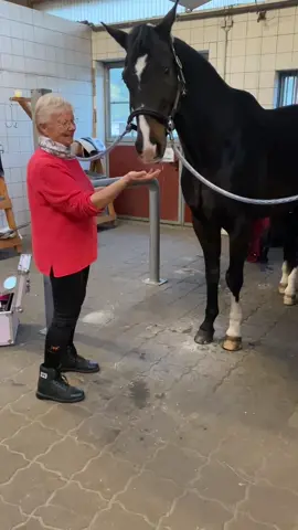 Oma durfte an dem Tag trocken reiten 😊 sie liebt es im Stall mitzuhelfen 🦄💕 kommen eure Großeltern auch gern in den Stall? #fy #foryou #equestrian