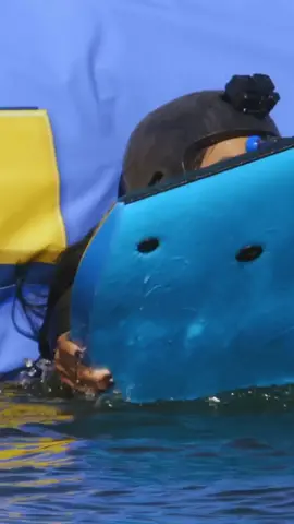 Speed Skipper and face plants go hand in hand. #cannonball #usanetwork #failvideos