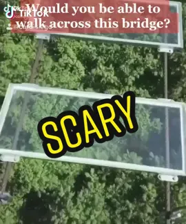 Comment Below  ⬇️⬇️⬇️⬇️ #TimeWarpScan #boo