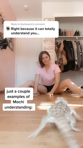 Reply to @heyitsspork Don’t doubt animals, especially Mochi 😉 #fyp #foryou #foryoupage #dialitforward