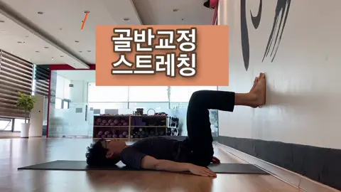 골반교정과 허리를 가볍게 만들어주는 스트레칭 #요가 #틱톡요가 #틱톡교실 #틱톡쌤 #요가틱톡 #골반교정 #스트레칭 #골반스트레칭 #허리스트레칭 #허리펴기 #yoga #유튜브 #아름다운핫요가TV #골반스트레칭 #골반통증 #허리통증 #건강관리 #운동