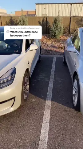 Reply to @iamibrahimlol small differences #tesla #foryou #m3fam