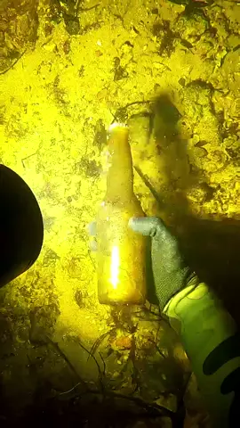 I found Corona underwater 🤣 #ScubaDiving #RiverTreasure #BeersOnMe