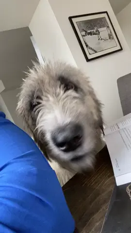 Can I help you, sir?