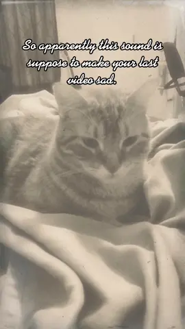#sadness #catsoftiktok  #DoItBold #SkateLife #latenightthoughts