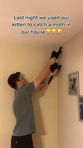 Stealthy kitty😏#HorrorTok #DoItBold #fyp #foryou #foryoupage #tiktok #xyzcba #viral #blackcat #couplegoals