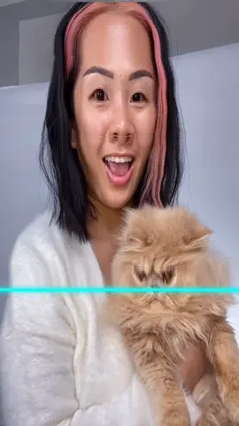 #TimeWarpScan cat edition 🤣