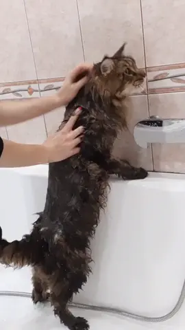 #stitch с @luchy_nika