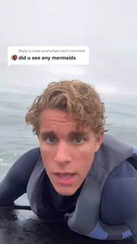 Reply to @www.sarahwhyte.com #greenscreen