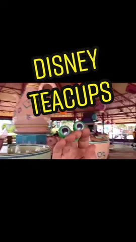 #DannyPibbet on the teacups at #magickingdom #disneyworld #madhatter #oobi #puppetsoftiktok #JesusisKing