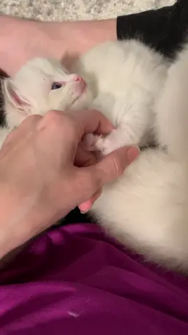 Bonnie likes holding hand when she's nervous