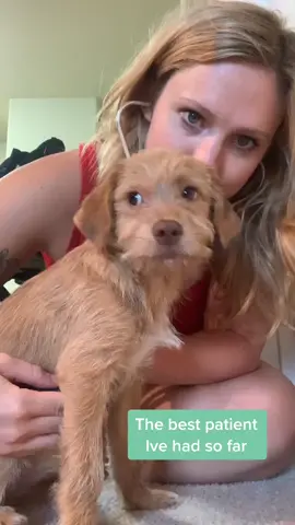 Do you practice on your pup? #MicellarRewind #MeLeaving #fyp #puppy #puppylove