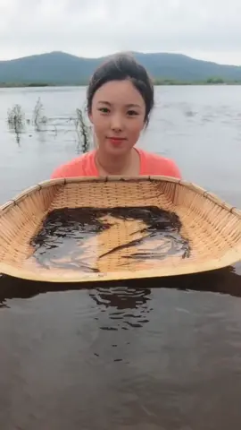 Chinese brothers fish. #fish #foryou #foryoupage #fyp