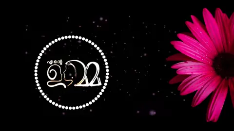 നാഥാ എന്റ്മ്മാക്ക് നീ സ്വാർഗ്ഗമേഗ്😘#ummachi #status #mallu #mallupravasi #malayalam #india #mother #malayalam