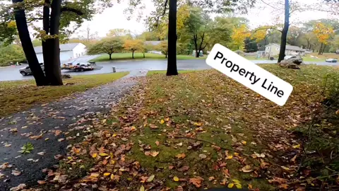 This took forever cause the leaves were so heavy from the rain we had 🙈😭😂 #fyp #leaftok #timelapse #ShowUpShowOff #HelloFall #mowing
