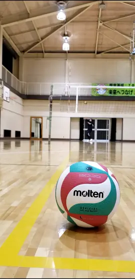 🏐久々にやってみた🏐#スポーツの秋 #カメラロールの最後の動画に合う曲らしい #サーブ #おすすめにのりたい