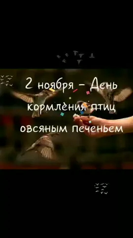 день кормления птиц овсяным печеньем#праздниккаждыйдень #праздник #день #каждый #птицы #птица #печенье