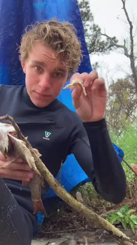 Reply to @nolanalbrecht it literally taste like chicken￼￼