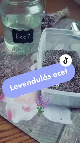 💜 #lavender #vinegar #cleaning #levendulásecet #levendula #ecet #takarítás #környezettudatos #EcoFriendly #zerowaste #lowwaste #jbglikes #fyp #foryou