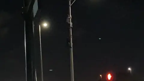 throwback to when @noah_humphlett04  climbed a lamp post. follow me on Instagram to see all the shenanigans! #fyp #foryou #foryoupage #florida