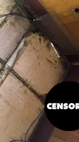 I’m pretty sure this is some sort of violation #security #osha #mold #badcompany #fyp #help #share #telleverybodyimonmyway #telleverybody #lawsuit