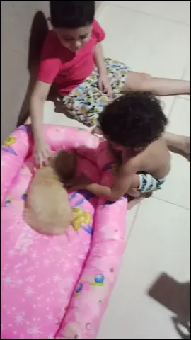 alegria do menino qdo ganha um animalzinho