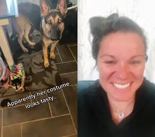 #duet with @carliafaye Taco Tuesday is for everyone #tacotuesday #dogsoftiktok #heatherslaugh