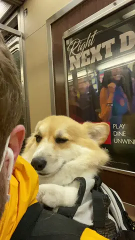 Not using hashtags so if you’re seeing this it’s because you need it today.