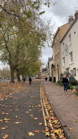 quiet november afternoon 🤎🎞📔 #oxforduni #fyp #oxforduniversity #oxford #england #uk #darkacademia #fypシ #lightacademia #studygram #Vlog #oxbridge