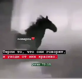 🥀💔#тоска #нашид #грусть #рекомендации