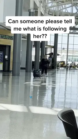 Seen at #CVG #airport. It followed her around and I need to know what it is!!!