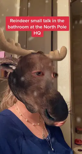 Blitsen & Prancer having bathroom chit chat 🎄🍭🎅🏼🎁