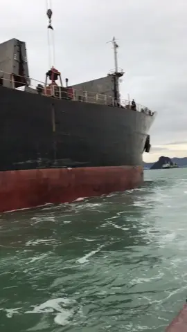 Di an kimchi ace nao muon di lam thue inbox