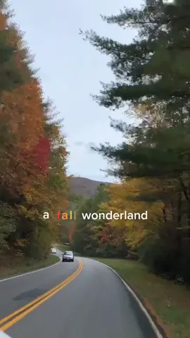 serotonin #fyp #fall #adventure