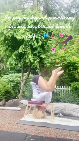 #yogagirl #yogainstructor #yogalover #yogabench #headstand #headstandbench