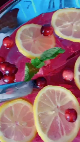 Cranberry, mint, and 🍾 punch for Thanksgiving. #punch #thanksgiving #daydrinking #instacart #makeadrink