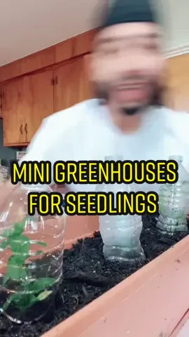Mini Greenhouse Hack 🌱🤩 #garden #trick #tips #plants #foryou #fyp #learnfromme #alwayslearning #magic #wow #DIY #gardening #planttips #hack #tricks
