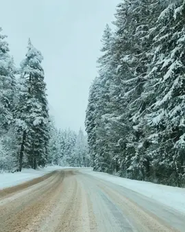 Самая красивая дорога. Дорога в Домбай без преувеличения одна из самых ярких на Кавказе. А зимой особенно. А вы уже ездили по ней? #домбай #зима