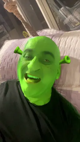 #shrek #funny #dreamworks #groovyyuvi