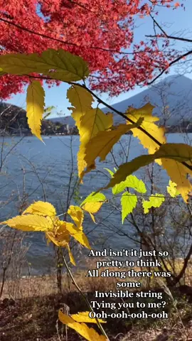 #chill #yellow #pretty