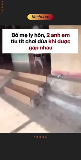 Bố mẹ ly hôn, khoảnh khắc 2 anh em tíu tít chơi đùa khi được gặp nhau khiến nhiều người cay mắt #kenh14 #kenh14official